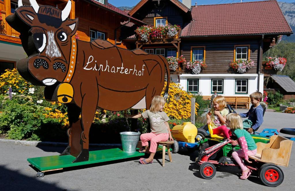 Linharterhof Villa Haus im Ennstal Buitenkant foto
