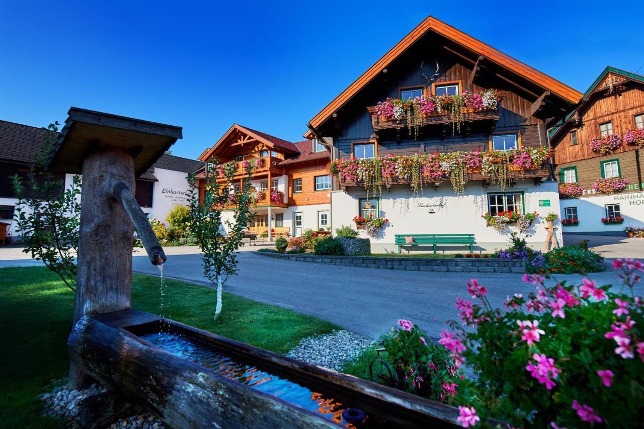 Linharterhof Villa Haus im Ennstal Buitenkant foto