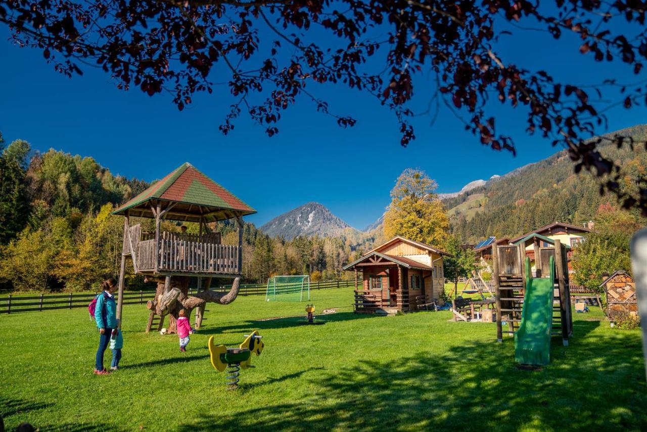 Linharterhof Villa Haus im Ennstal Buitenkant foto